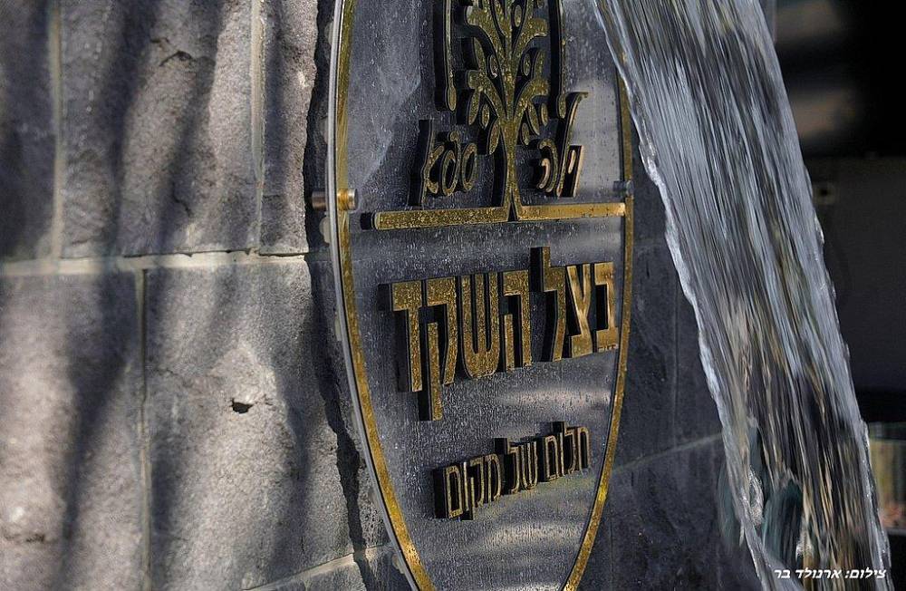 וילה ספא בצל השקד כללי, וילה ספא בצל השקד, וילה  בטפחות וילות - Vila 4 U