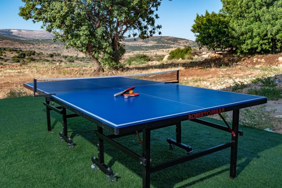 גלריית חוץ אחוזת האושר בכלנית שולחן פינג פונג המתחם החיצוני, אחוזת האושר בכלנית, וילה  בכלנית וילות - Vila 4 U