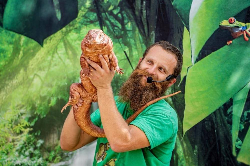 159589 אירועי קונספט - אירוע ג'ונגל, חלום בחווה אורבן – URBAN, וילה  בחדרה וילות - Vila 4 U