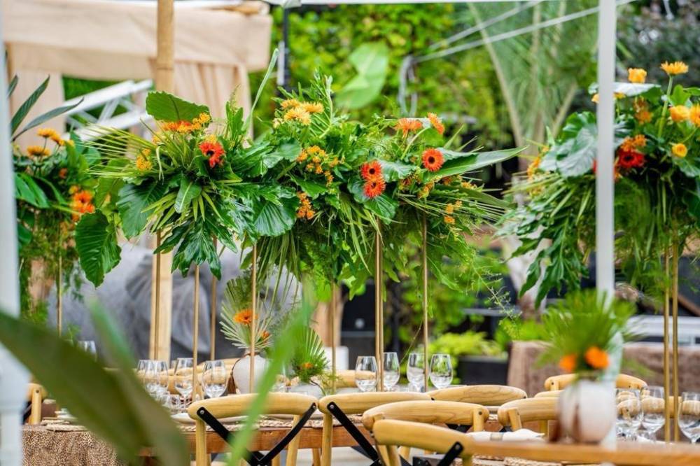 159591 אירועי קונספט - אירוע ג'ונגל, חלום בחווה אורבן – URBAN, וילה  בחדרה וילות - Vila 4 U