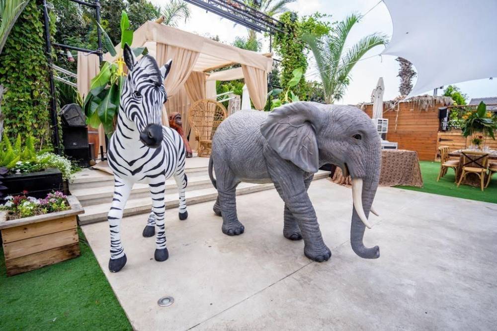 159596 אירועי קונספט - אירוע ג'ונגל, חלום בחווה אורבן – URBAN, וילה  בחדרה וילות - Vila 4 U