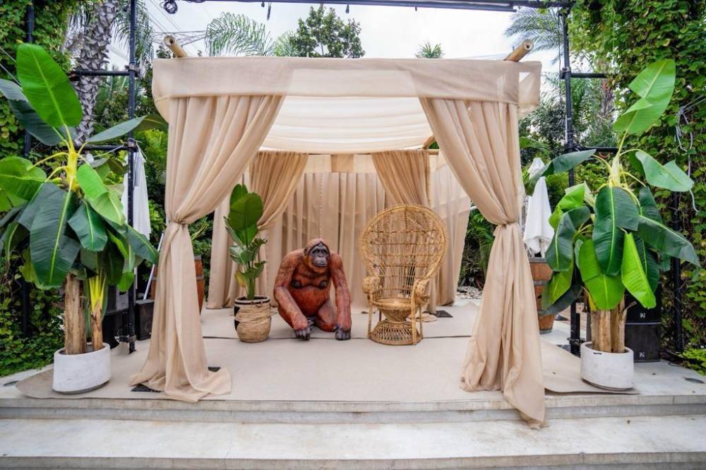 159599 אירועי קונספט - אירוע ג'ונגל, חלום בחווה אורבן – URBAN, וילה  בחדרה וילות - Vila 4 U