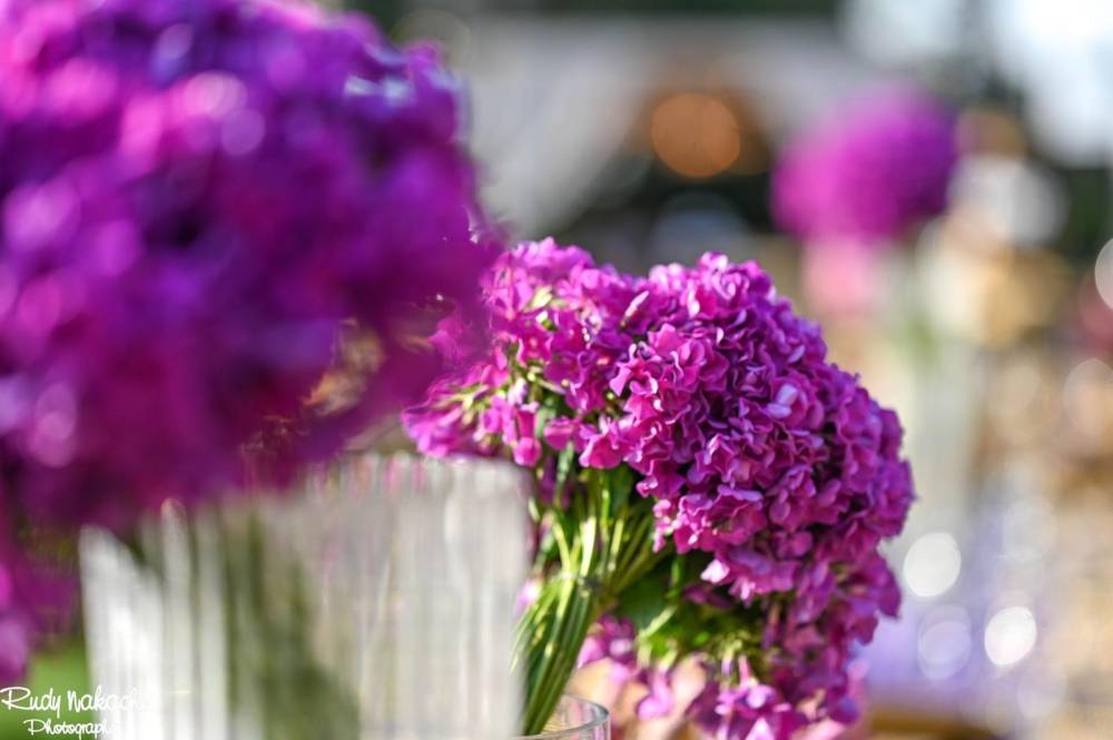 159616 אירועי קונספט - אירוע סגול, חלום בחווה אורבן – URBAN, וילה  בחדרה וילות - Vila 4 U