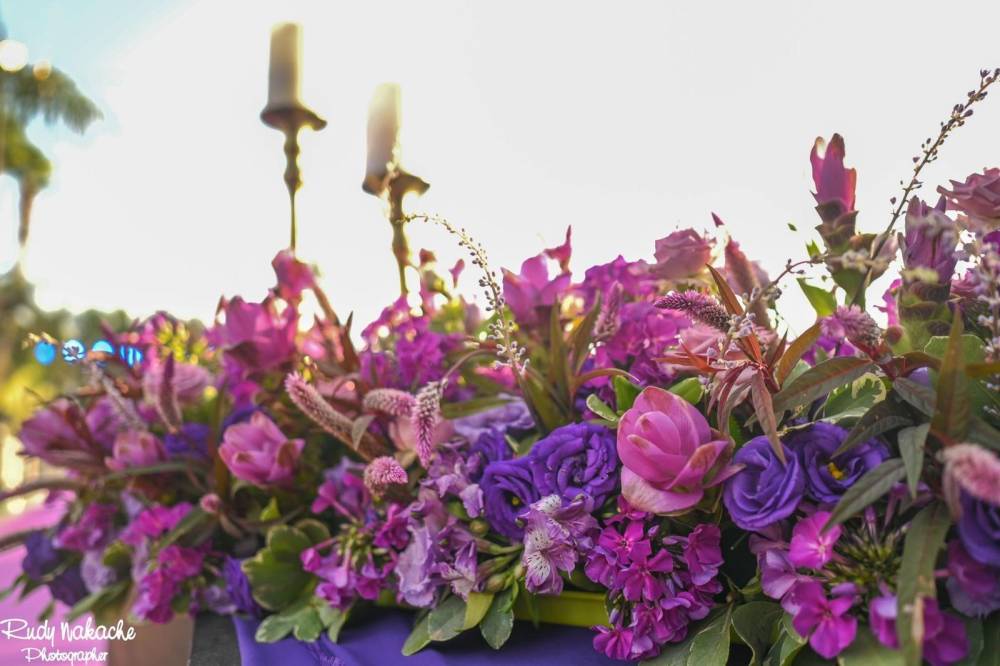 159624 אירועי קונספט - אירוע סגול, חלום בחווה אורבן – URBAN, וילה  בחדרה וילות - Vila 4 U