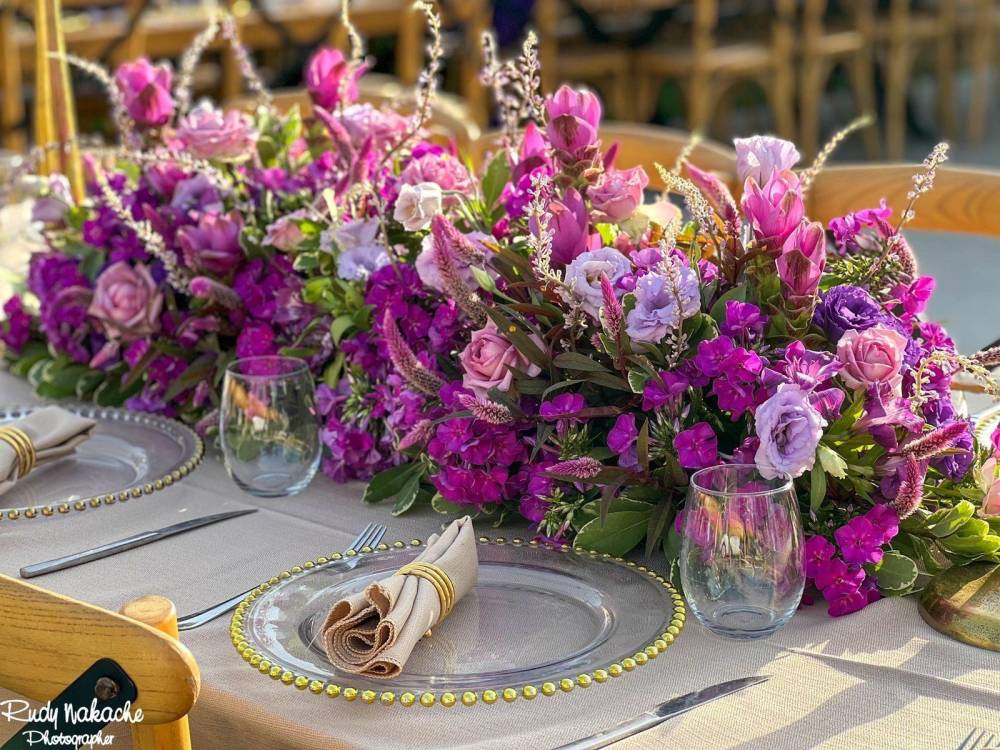 159642 אירועי קונספט - אירוע סגול, חלום בחווה אורבן – URBAN, וילה  בחדרה וילות - Vila 4 U