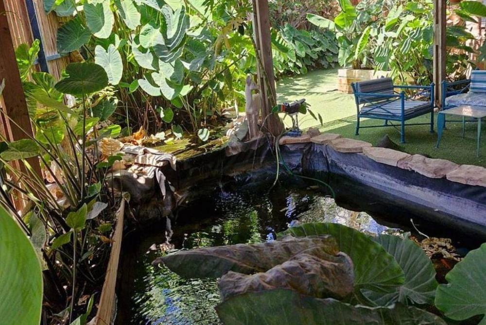 וילה ריצי גינה המתחם החיצוני, וילה ריצ'י, וילה  באילת וילות - Vila 4 U