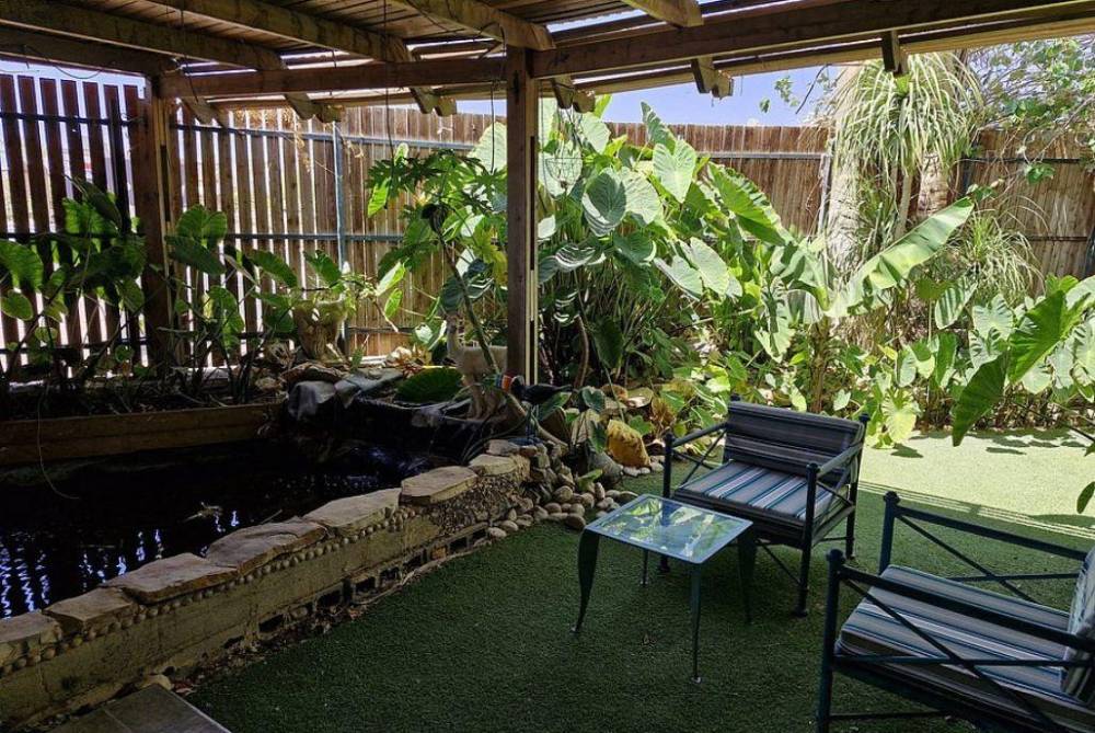 וילה ריצי גינה מופלאה המתחם החיצוני, וילה ריצ'י, וילה  באילת וילות - Vila 4 U