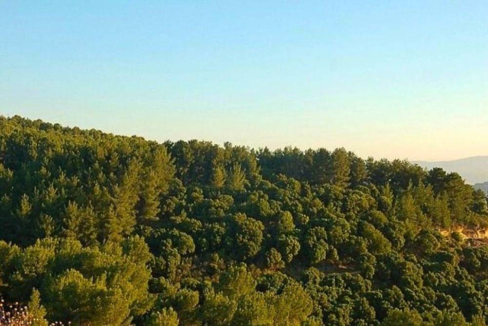 161599 מתחם חיצוני, אחוזת שלמה, וילה  בחזון וילות - Vila 4 U