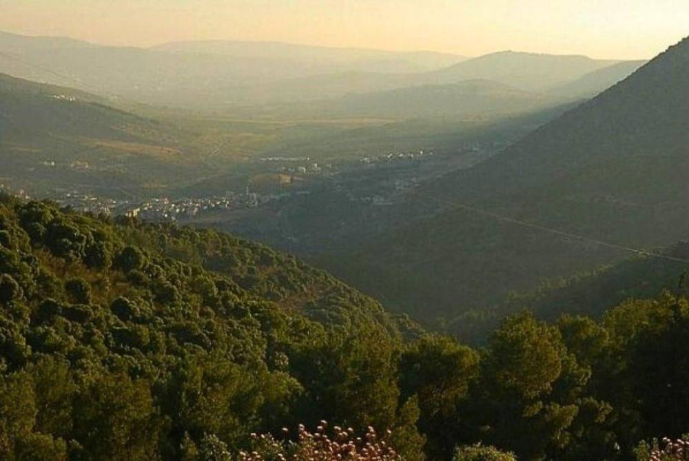 161601 מתחם חיצוני, אחוזת שלמה, וילה  בחזון וילות - Vila 4 U