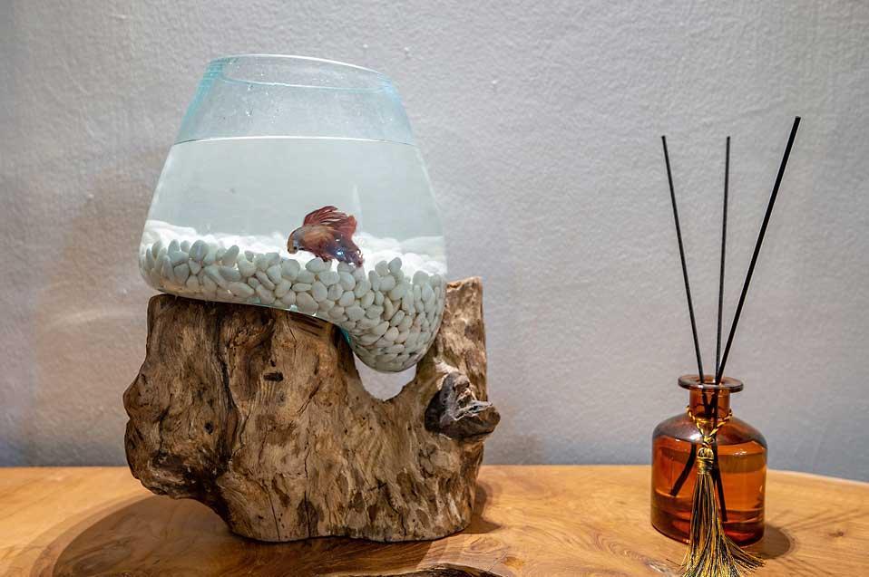 173869 גלריה כללית, קאסה דה נאטורה, וילה  בראשון לציון וילות - Vila 4 U