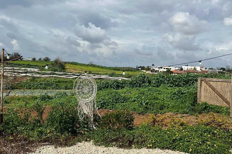 173935 גלריית חוץ, קאסה דה נאטורה, וילה  בראשון לציון וילות - Vila 4 U