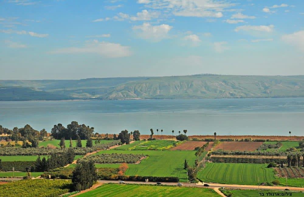 181870 חצר בריכה ונוף, וילה מגדל, וילה  במגדל וילות - Vila 4 U