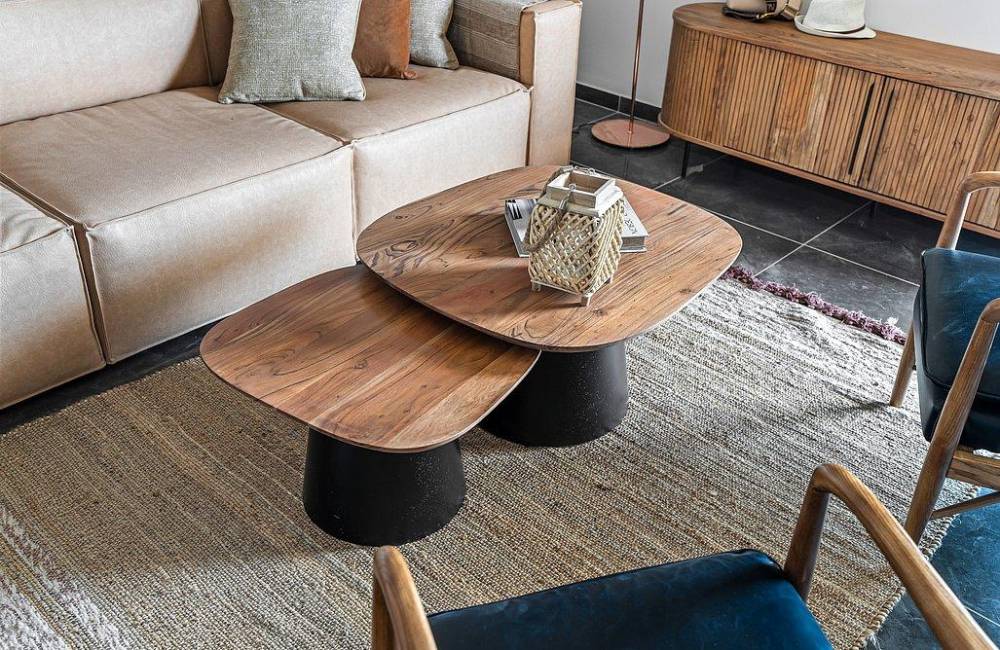 193219 גלריה כללית, כוכב רמון, וילה  במצפה רמון וילות - Vila 4 U