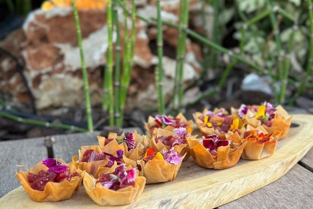 194216 גלריה כללית, אלמאגו רוף תל אביב, וילה  בתל אביב וילות - Vila 4 U