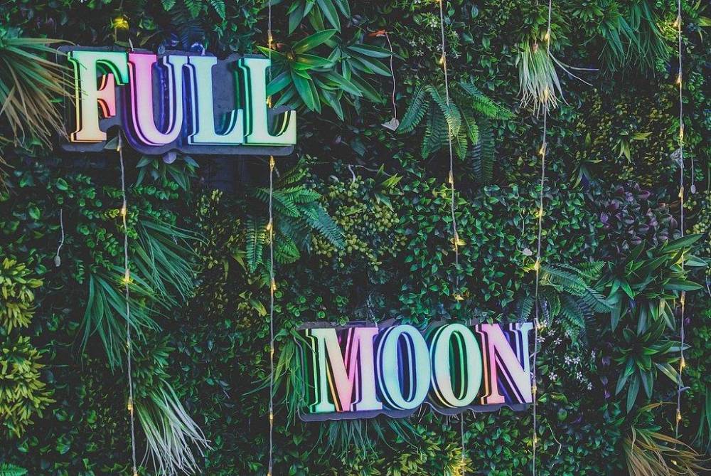 198415 גלריה כללית, אלמאגו רוף תל אביב, וילה  בתל אביב וילות - Vila 4 U