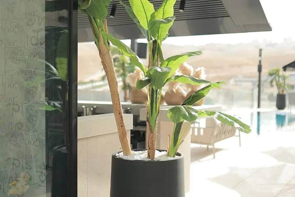 204458 מתחמי הגג, מתחם מדבר אירועים, וילה  במעלה אדומים וילות - Vila 4 U