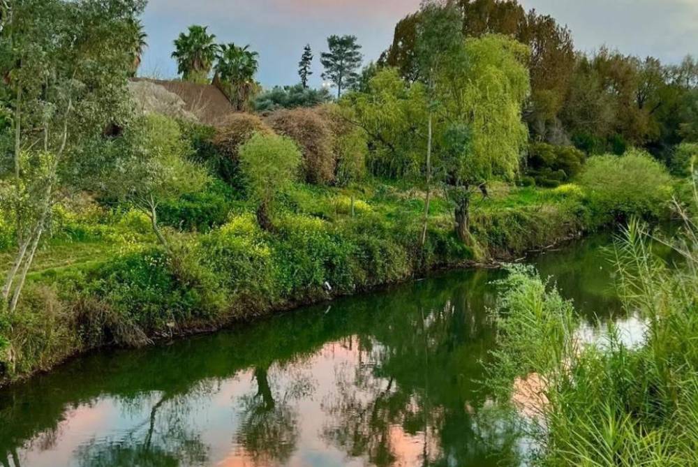 213617 סביבת המקום והנוף, וילה נוף להרים, וילה  בקרית שמונה וילות - Vila 4 U