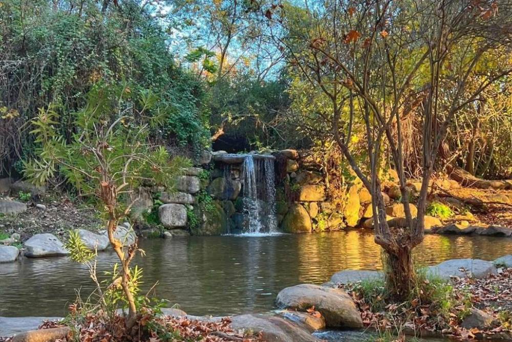 213664 גלריה כללית, וילה נוף להרים, וילה  בקרית שמונה וילות - Vila 4 U