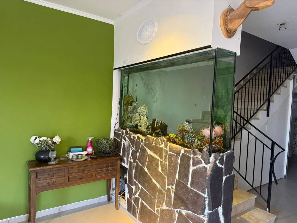 217447 גלריה כללית, סוויטת גן עדן בשרון, וילה  בכפר סבא וילות - Vila 4 U