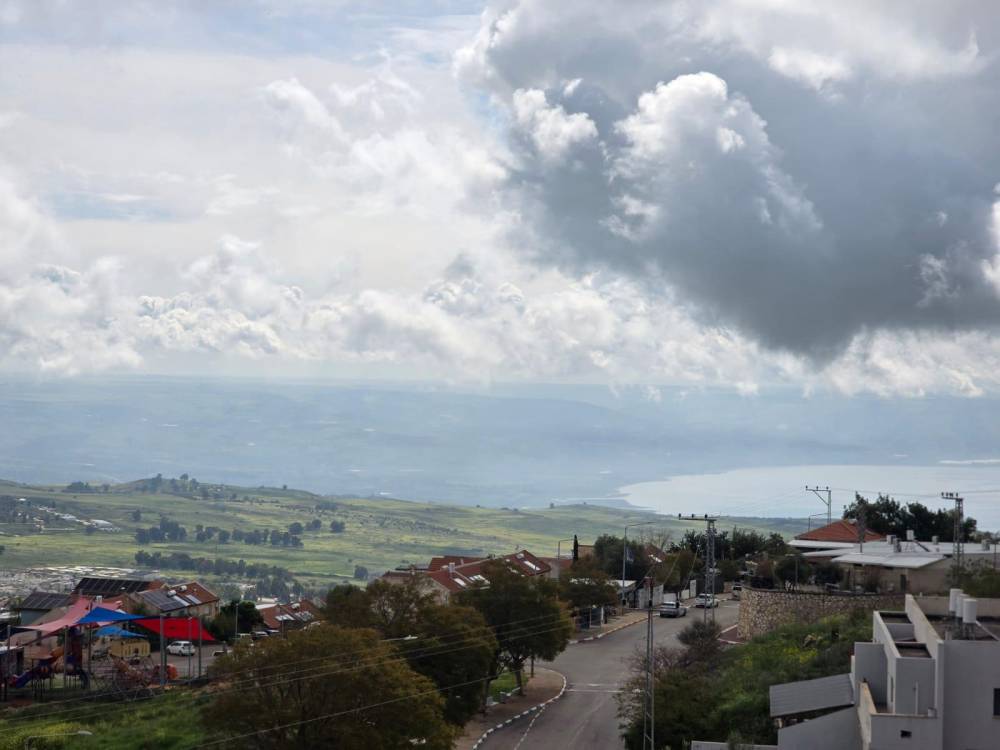 217544 גלריה כללית, וילה סאן לייט, וילה  בצפת וילות - Vila 4 U