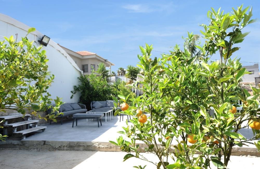 219078 המתחם החיצוני, אחוזת מרלו - MERLOT, וילה  בדלתון וילות - Vila 4 U