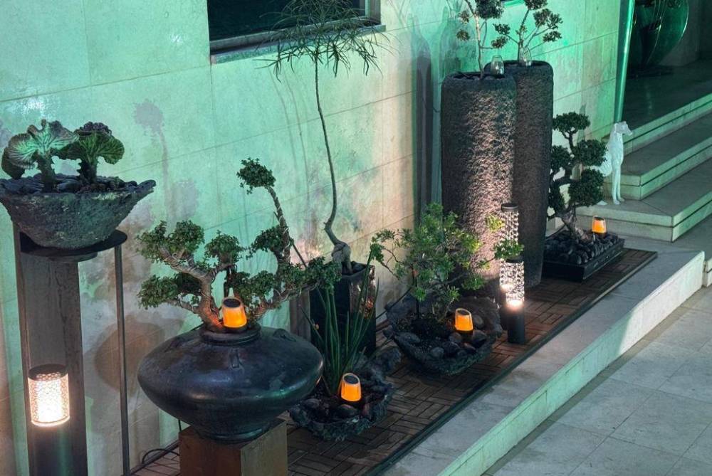 222814 גלריה כללית, פול פאלאס איוונט, וילה  בראשון לציון וילות - Vila 4 U