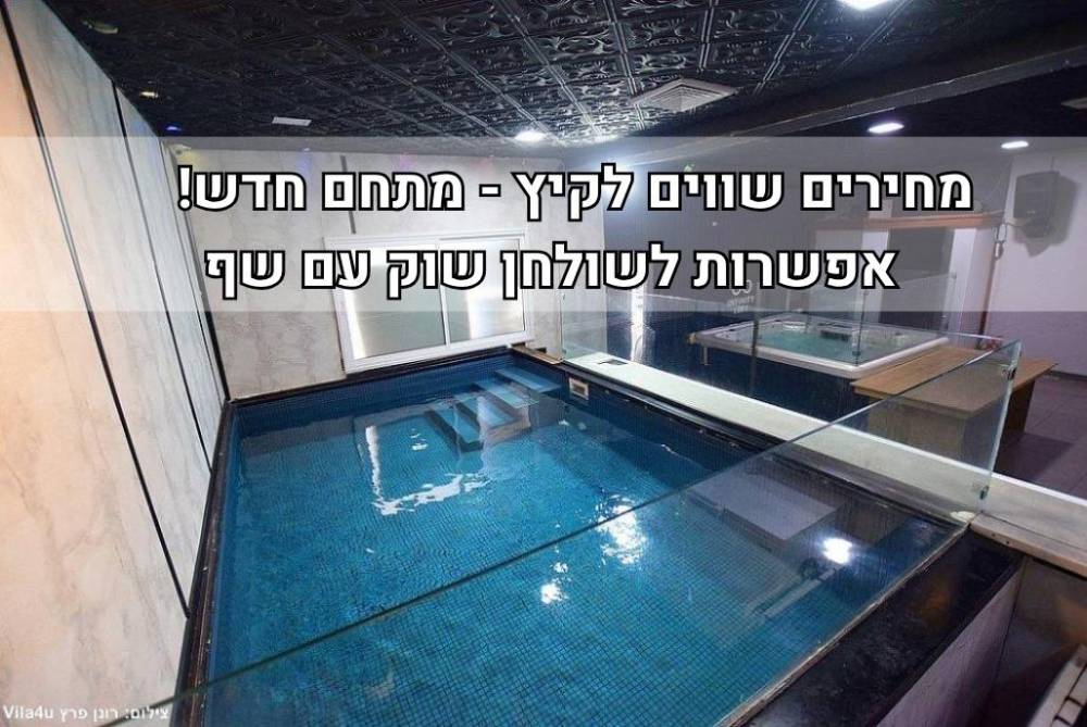 233215 גלריה כללית, אינפיניטי לופט, וילה  בראשון לציון וילות - Vila 4 U