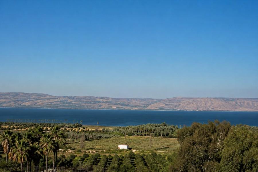 234233 וילה A, נוף הראשונים, וילה  במגדל וילות - Vila 4 U