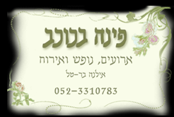 לוגו - וילה פינה בכוכב